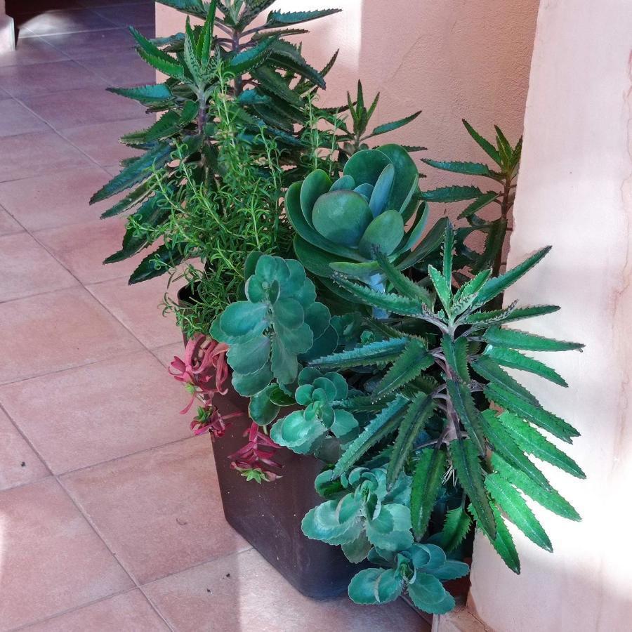 Apartment Luxury Large 2 Bedroom 10 Min Walk To Plaza *