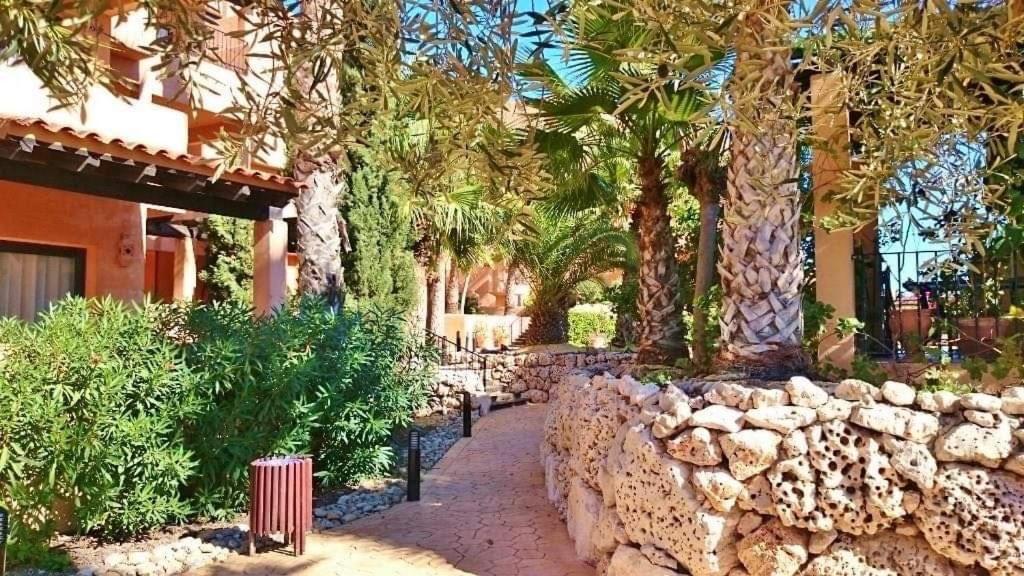 Luxury Large 2 Bedroom 10 Min Walk To Plaza Apartment
