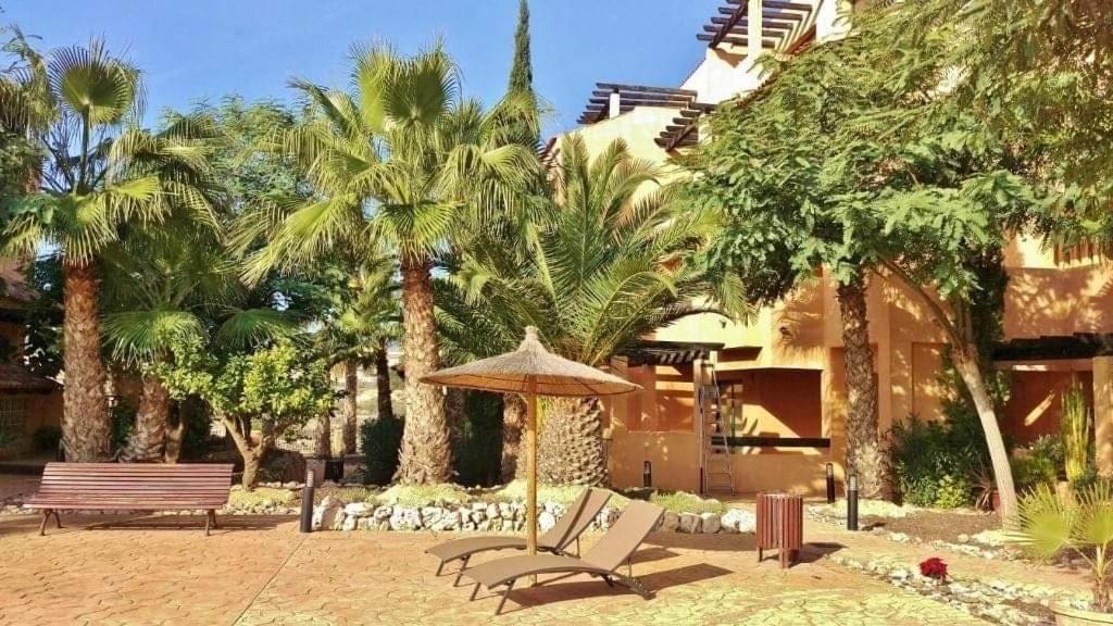 Apartment Luxury Large 2 Bedroom 10 Min Walk To Plaza Villamartin (Valencia)