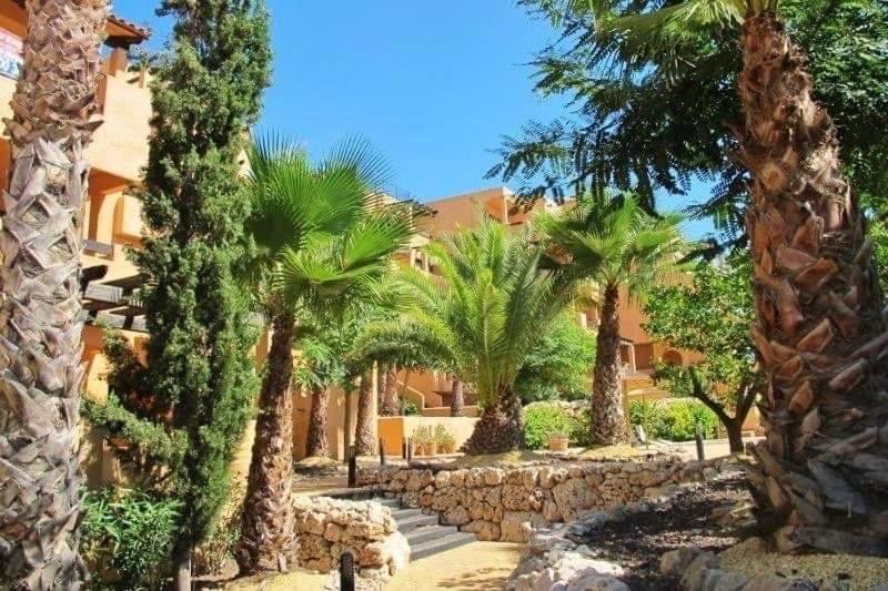 Luxury Large 2 Bedroom 10 Min Walk To Plaza Apartment Villamartin (Valencia)